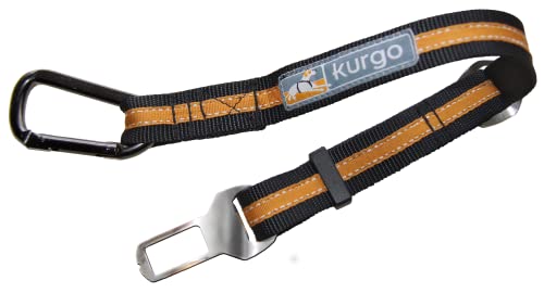 Kurgo Cinturón de Seguridad para Perros, Ajustable, con Hebilla para Coche, Correa de Perro Estilo Clip, Naranja/Negro