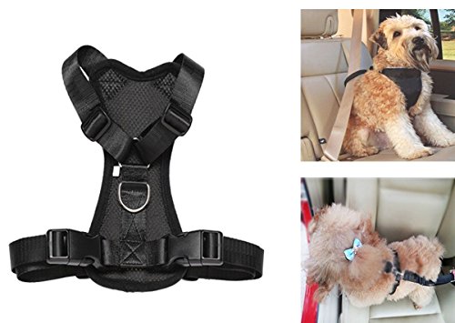 Arnés de seguridad para llevar mascotas en el coche, acolchado y ajustable, con anclaje al cinturón de seguridad, ideal para perros y gatos pequeños, medianos y grandes.