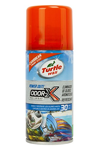 Turtle Wax TW53086 Limpiador Aire Acondicionado Aroma Caribe 100 ml. Destruye los olores en Tan Solo 10 Minutos. Limpiando Desde el sitema de ventilación del vehículo, U